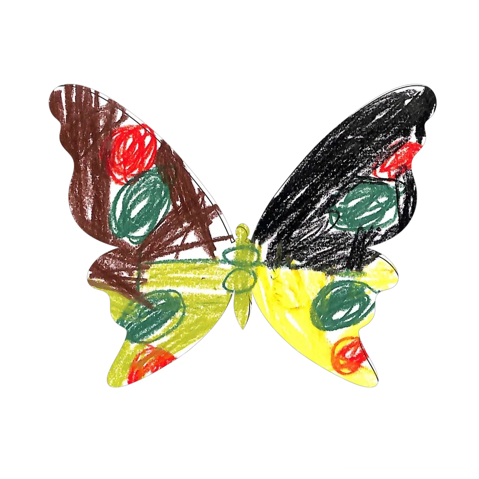 Original Butterfly Image