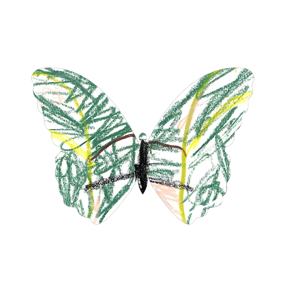 Original Butterfly Image