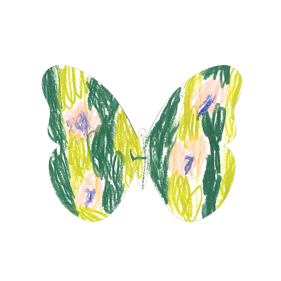 Original Butterfly Image