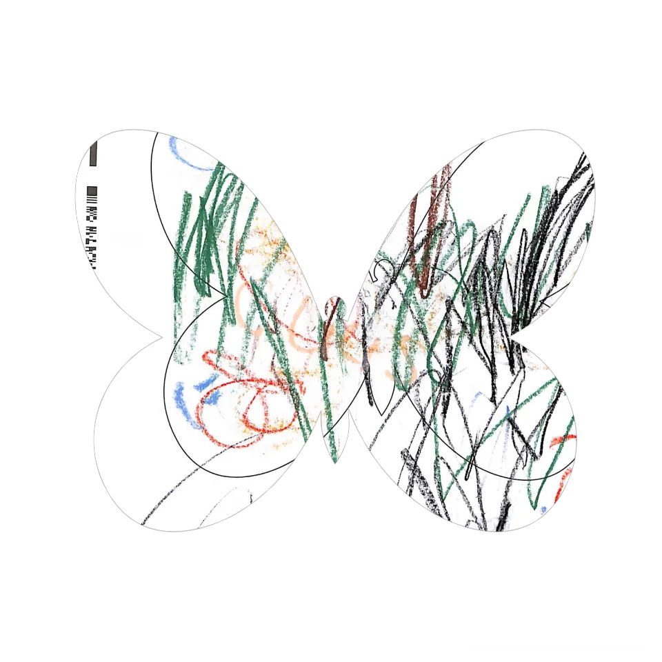 Original Butterfly Image