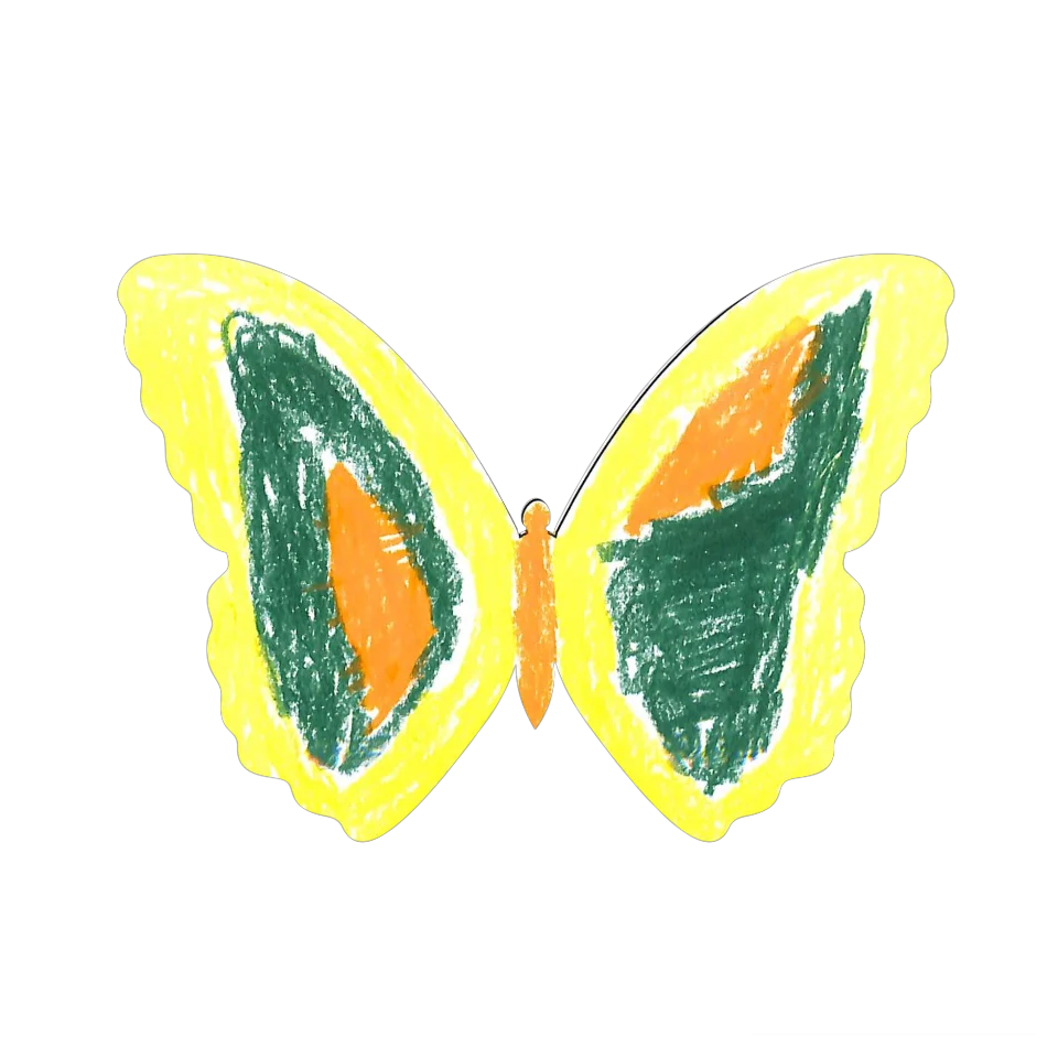 Original Butterfly Image