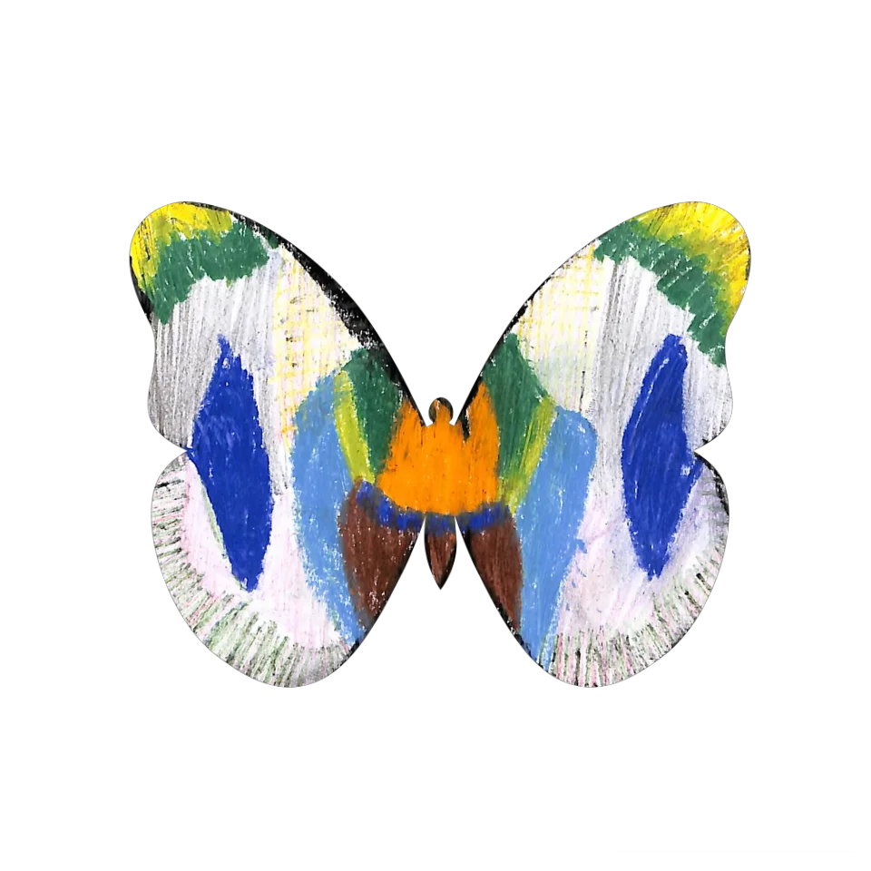 Original Butterfly Image