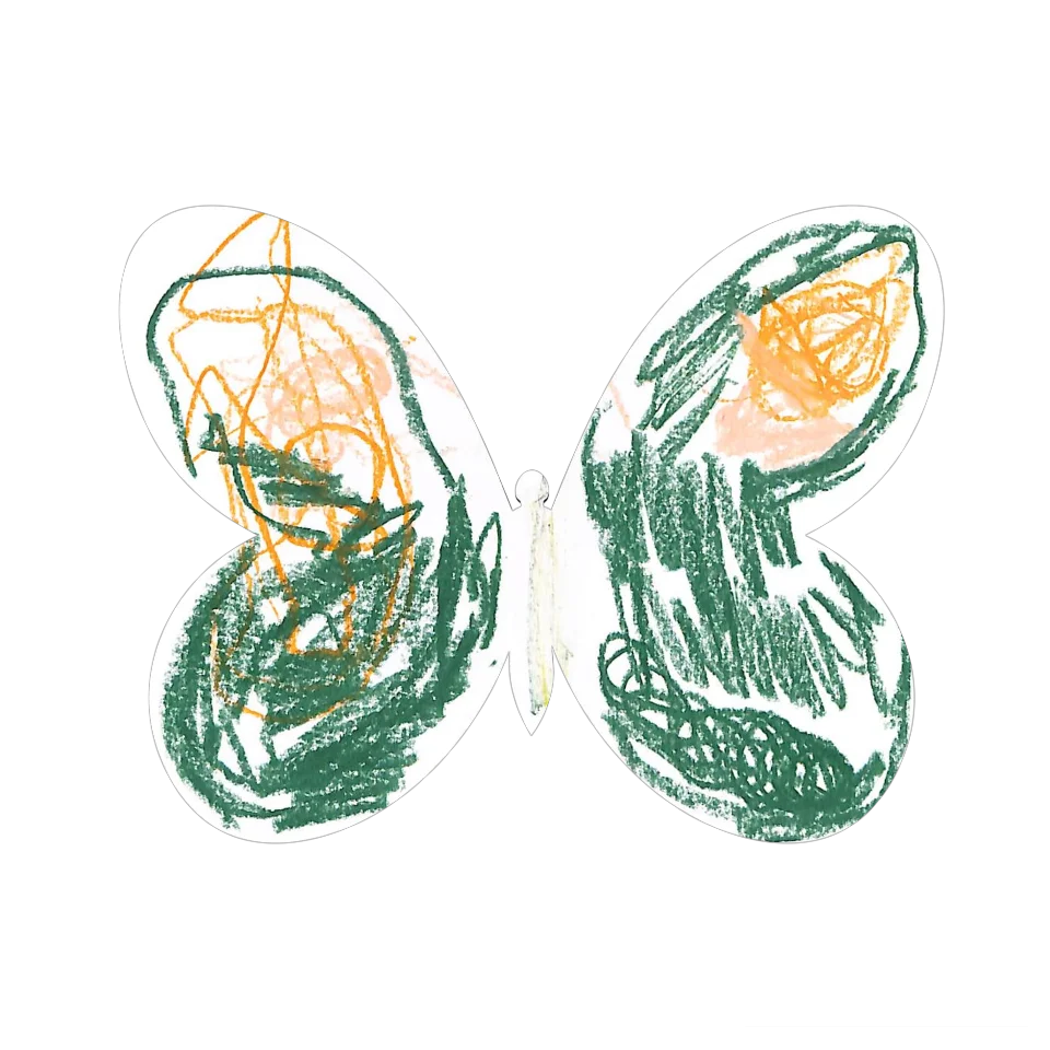 Original Butterfly Image