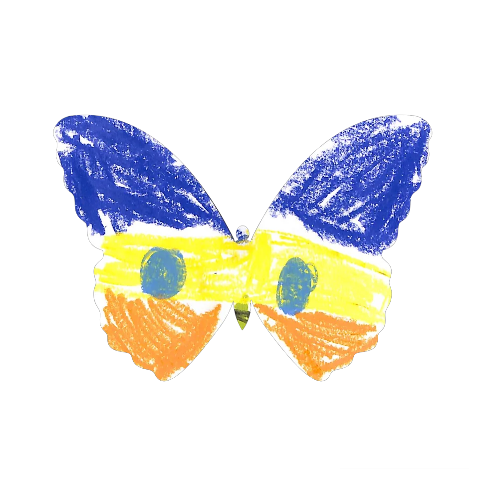 Original Butterfly Image