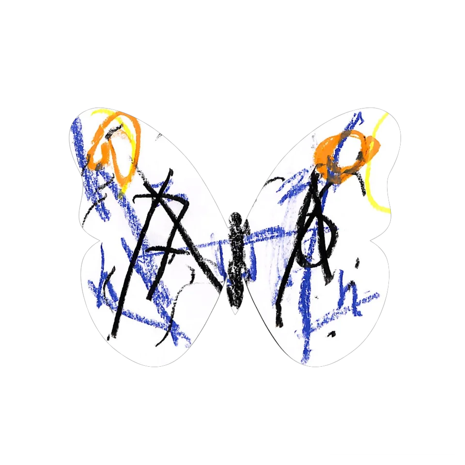 Original Butterfly Image