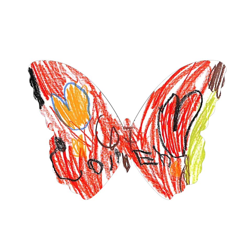 Original Butterfly Image