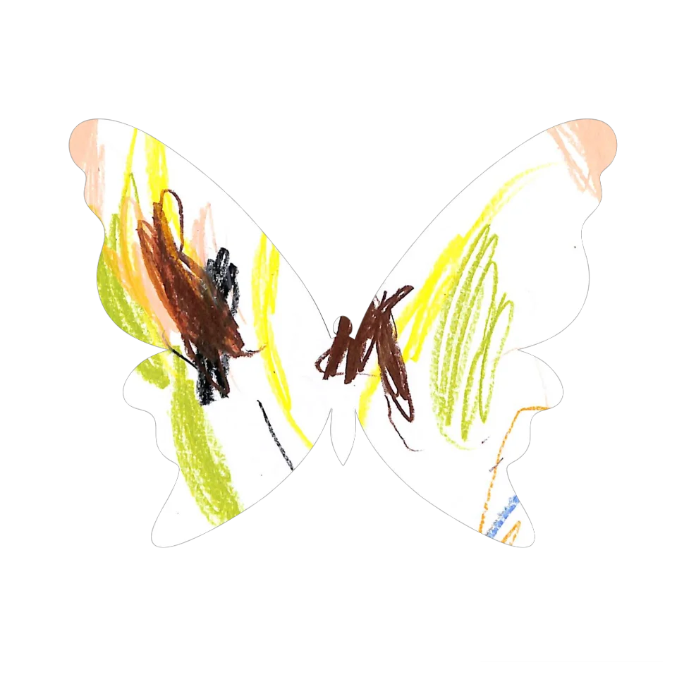 Original Butterfly Image