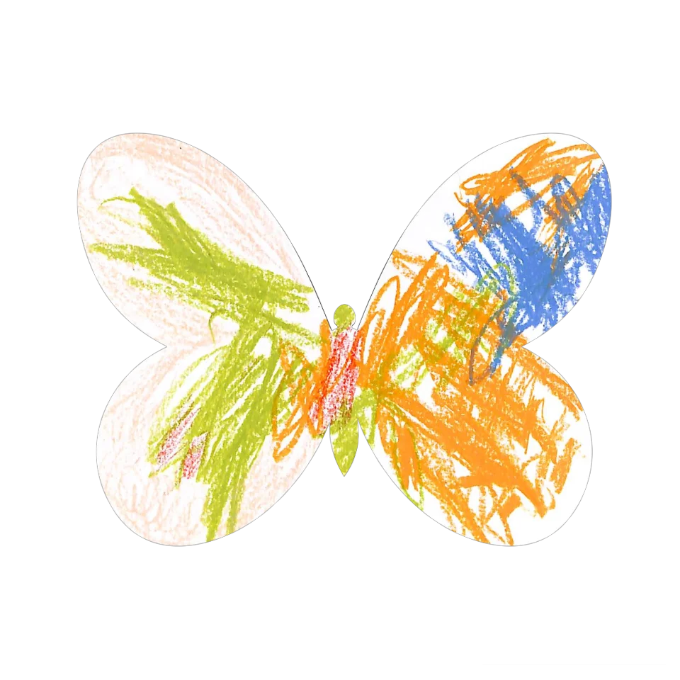 Original Butterfly Image
