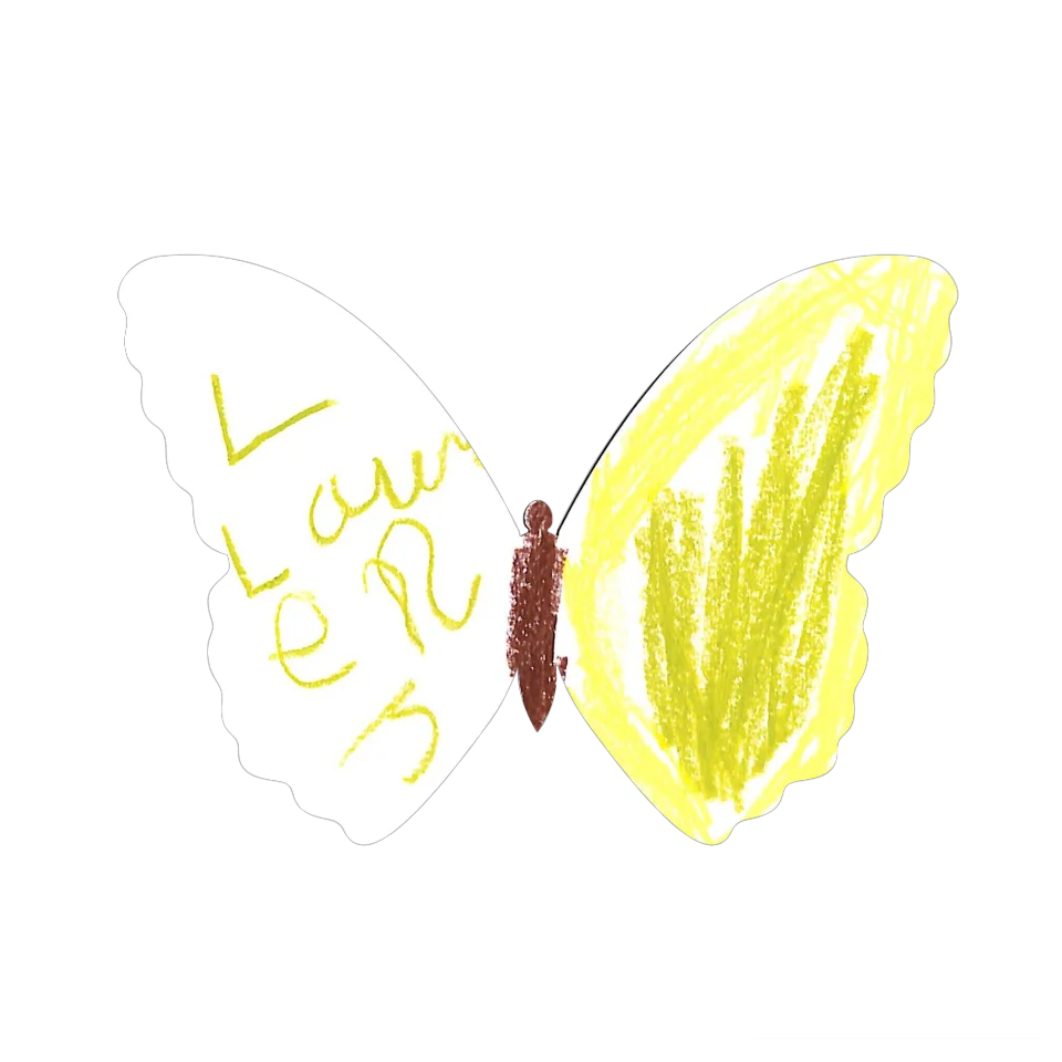 Original Butterfly Image