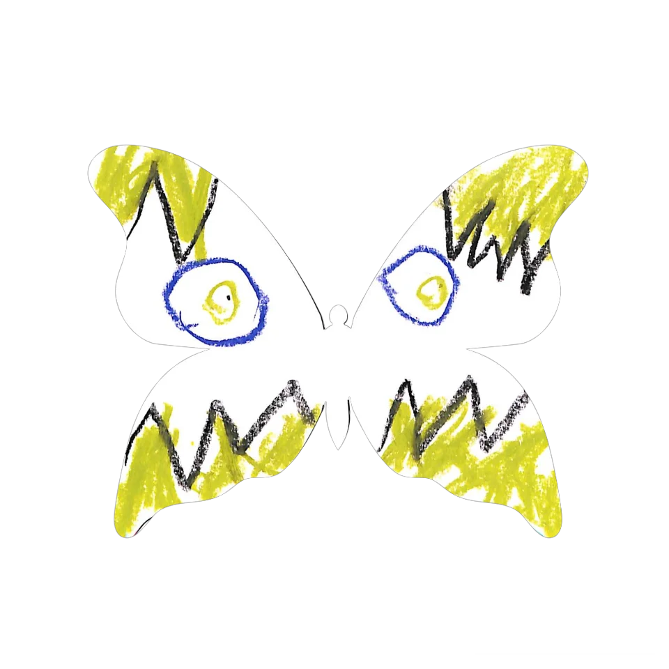 Original Butterfly Image