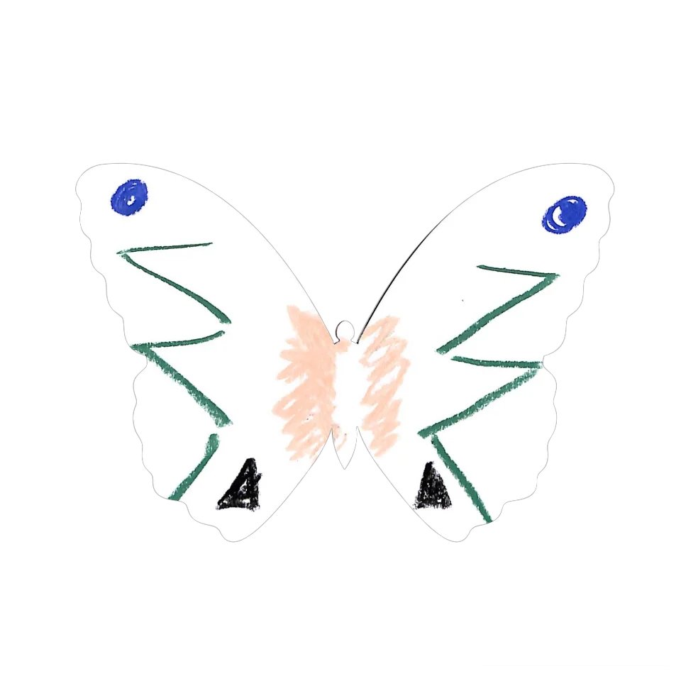 Original Butterfly Image