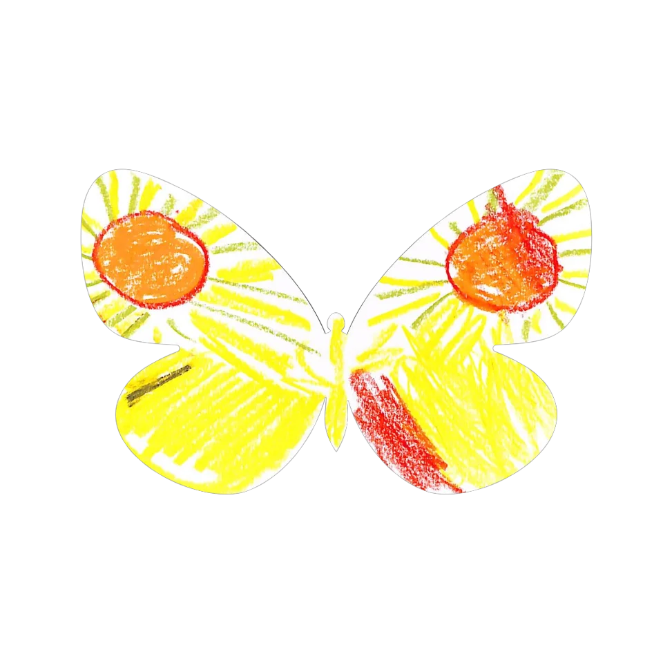 Original Butterfly Image