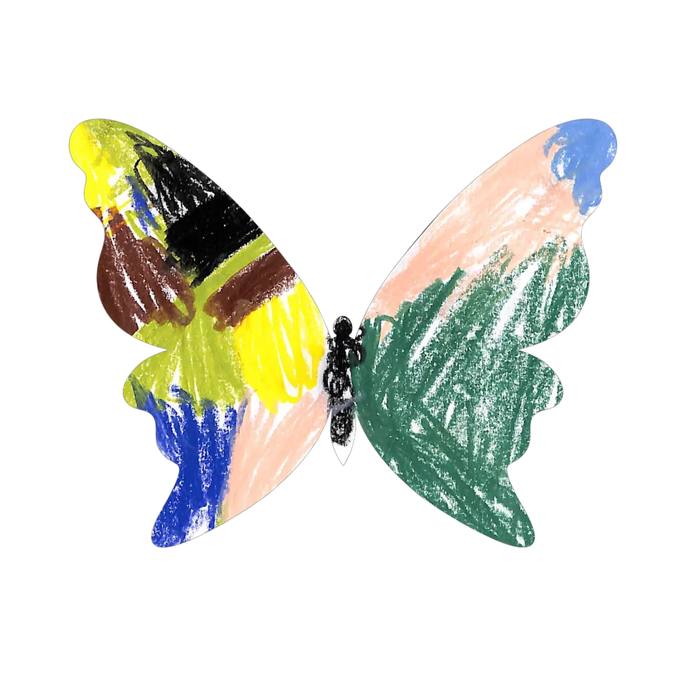 Original Butterfly Image