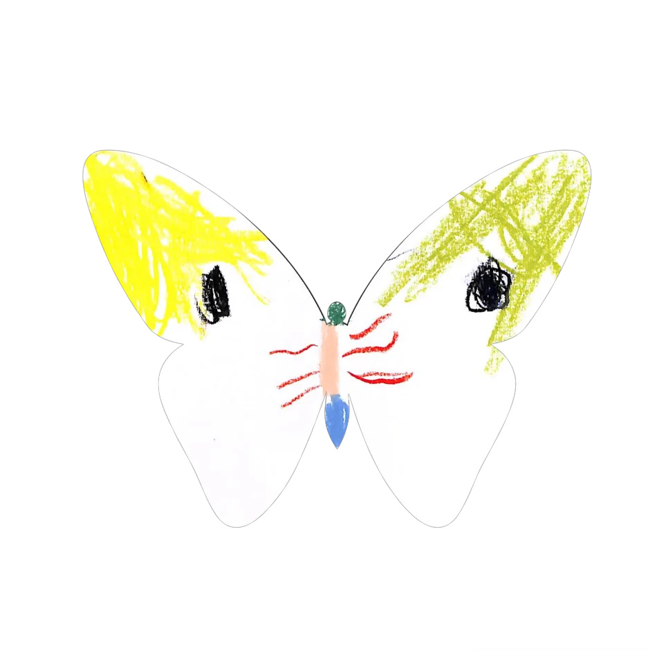 Original Butterfly Image