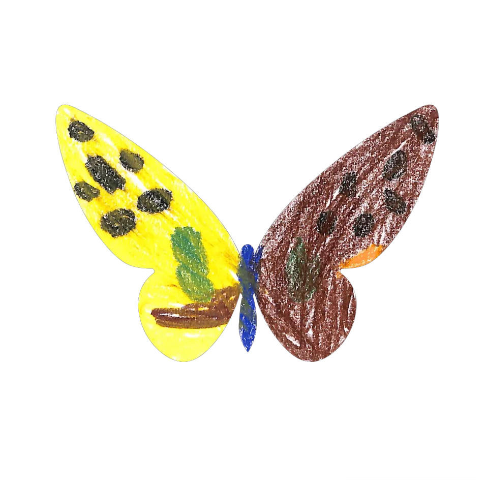Original Butterfly Image