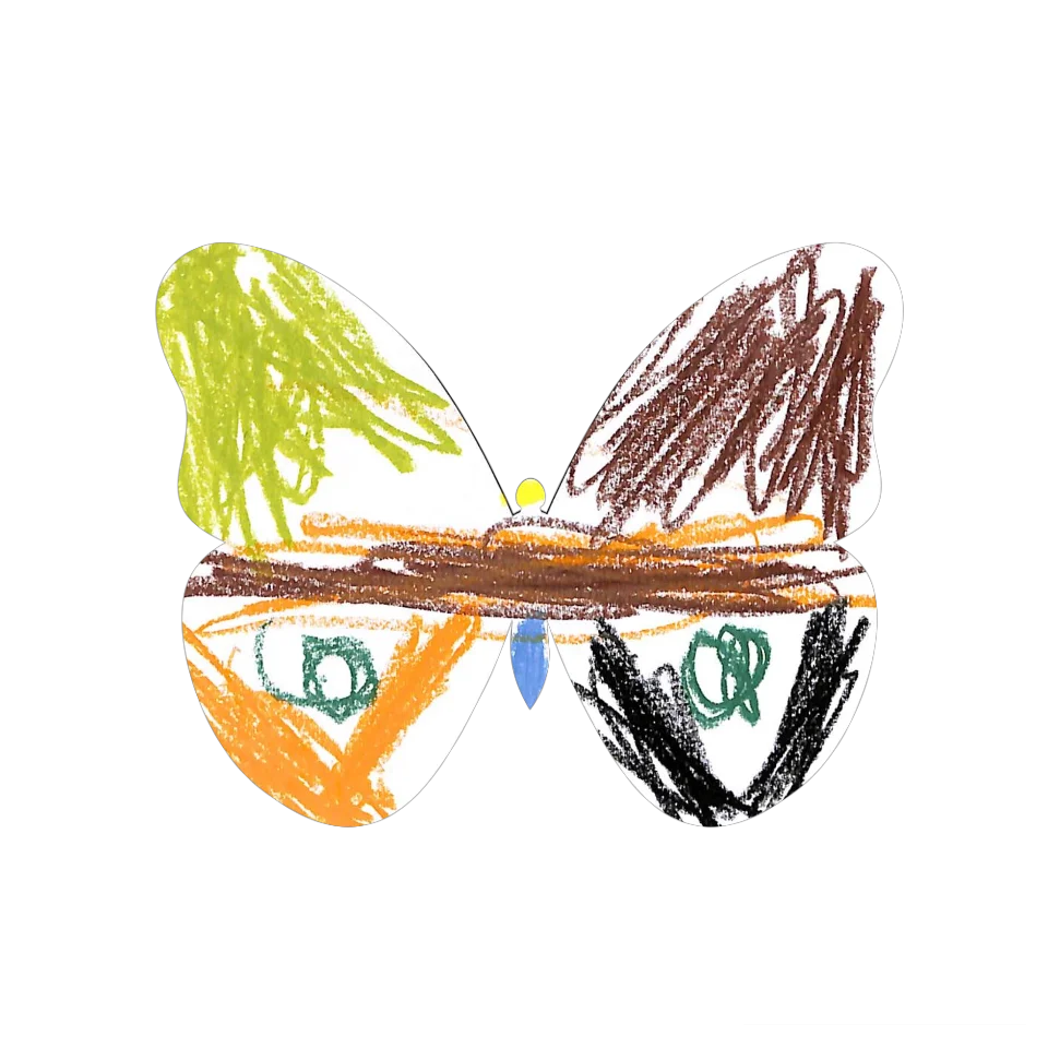 Original Butterfly Image
