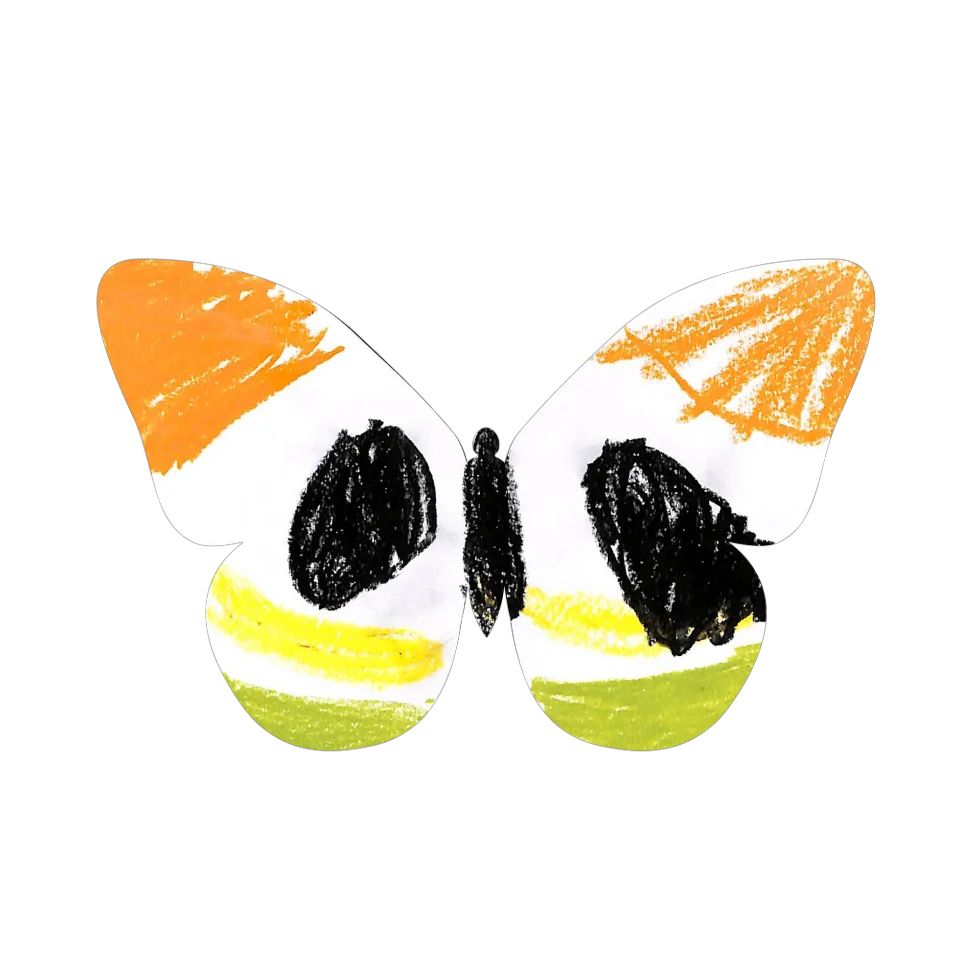 Original Butterfly Image