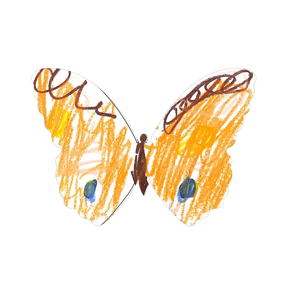 Original Butterfly Image