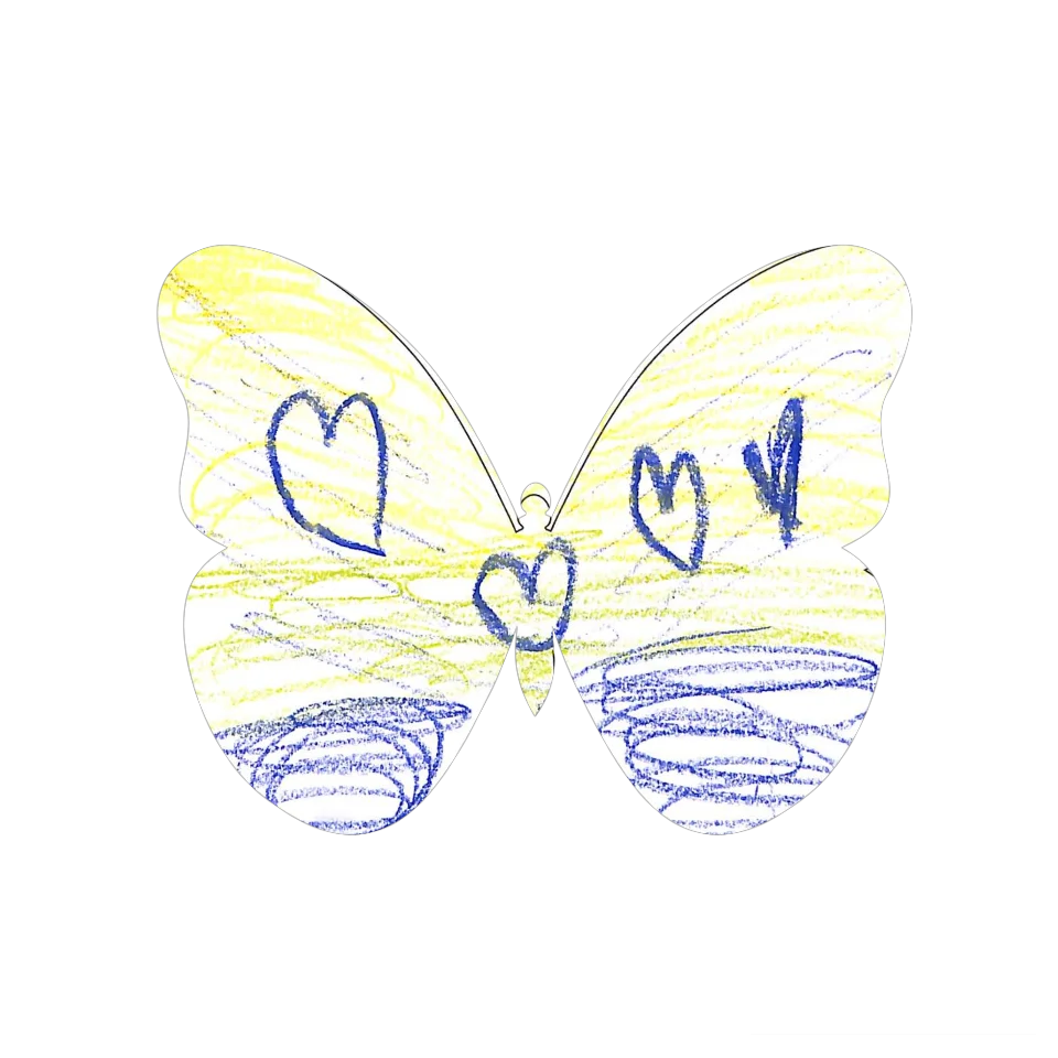 Original Butterfly Image