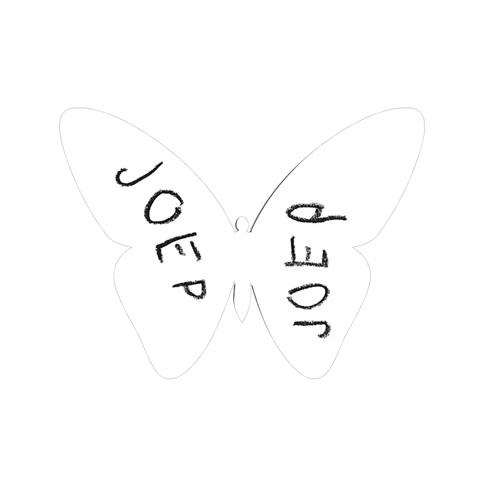 Original Butterfly Image