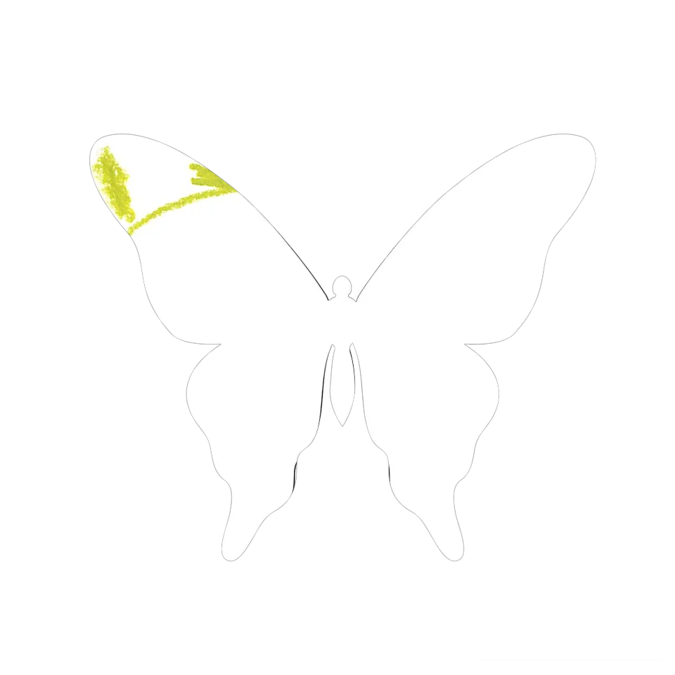 Original Butterfly Image