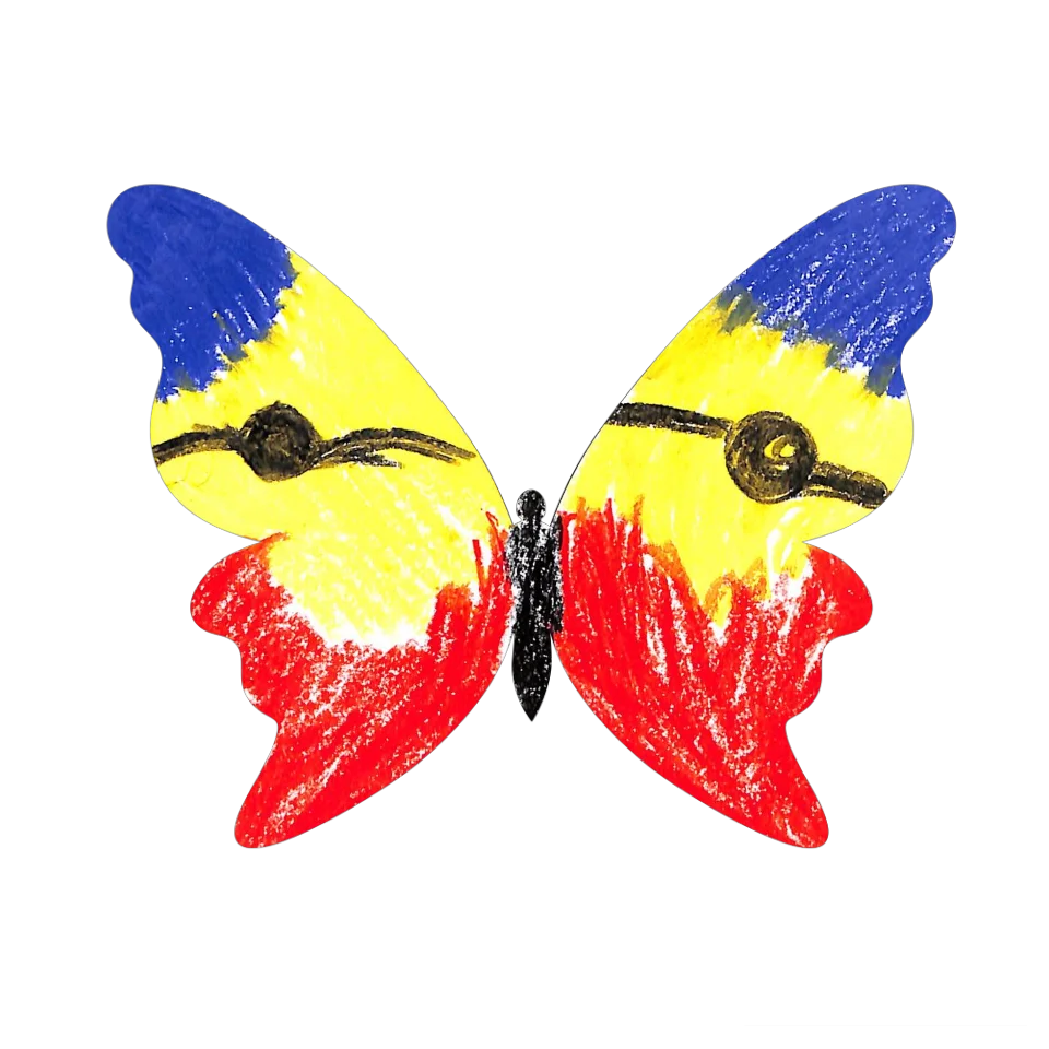 Original Butterfly Image