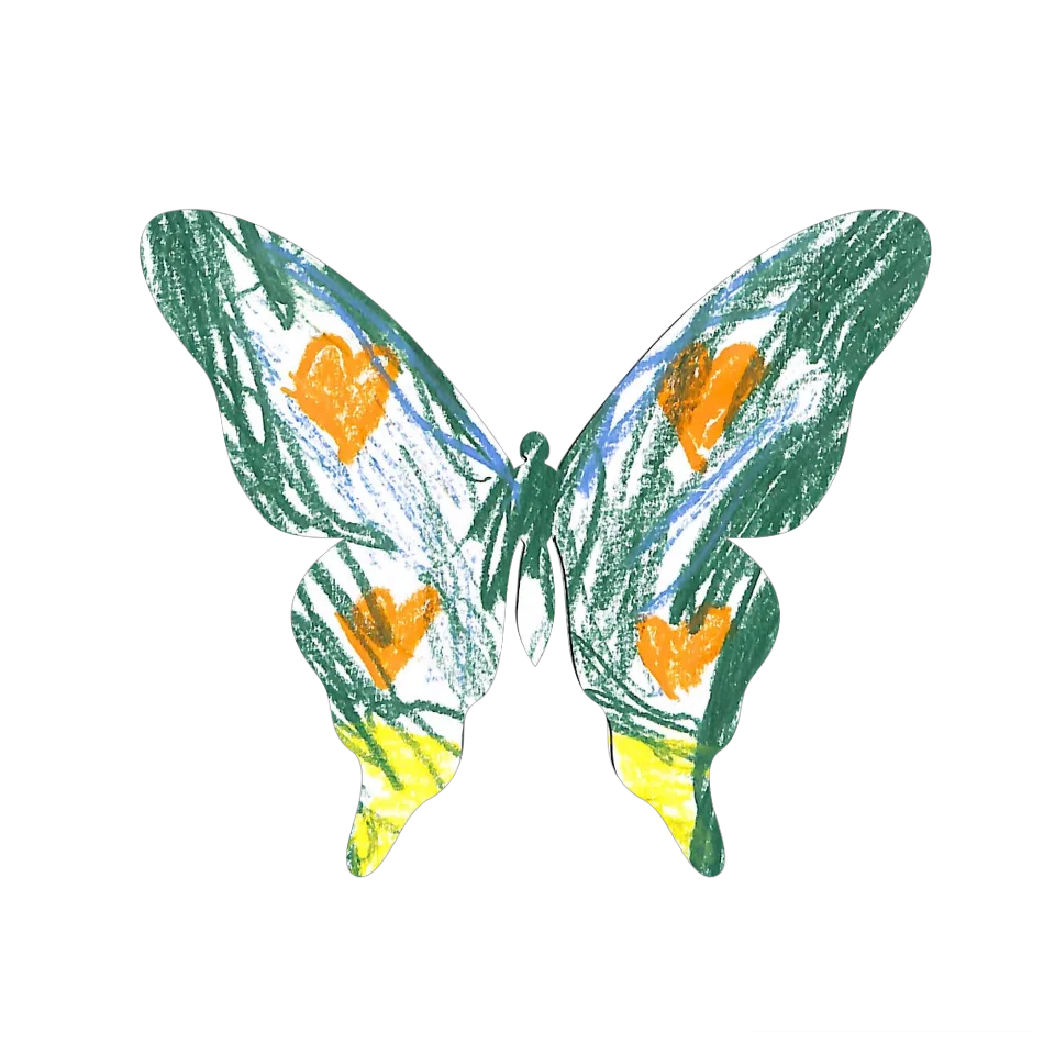 Original Butterfly Image