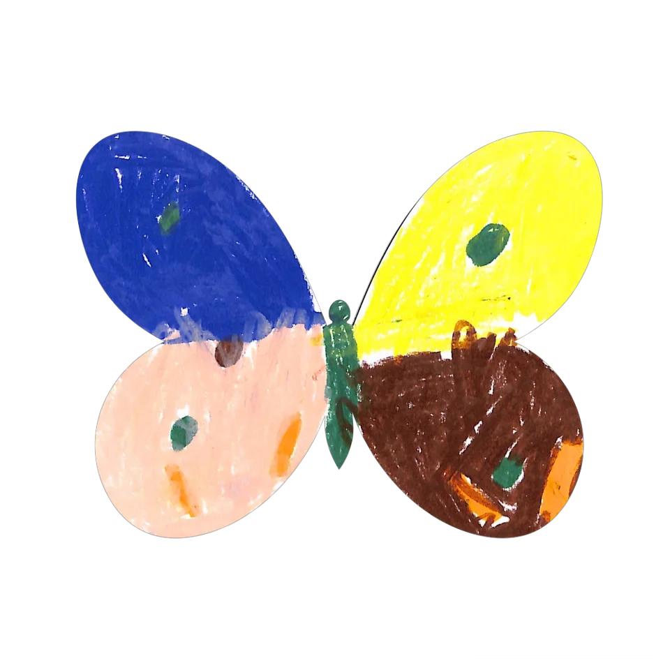 Original Butterfly Image