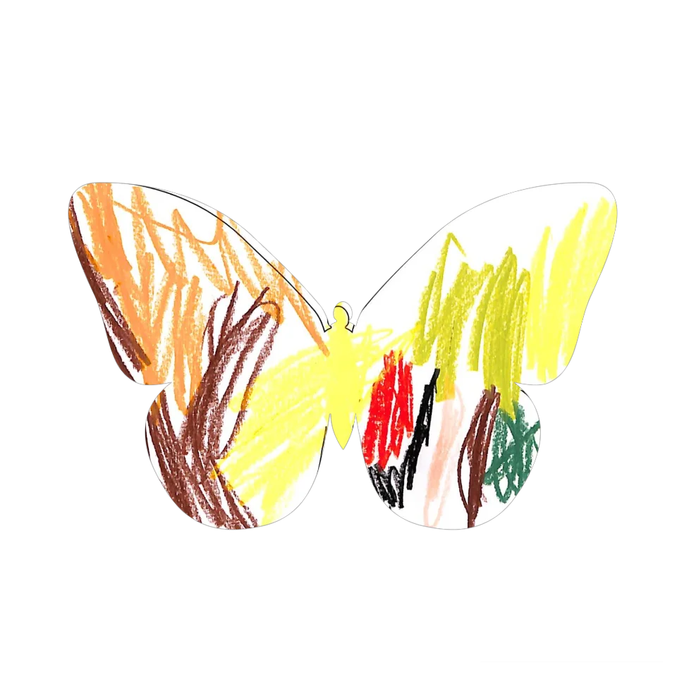 Original Butterfly Image