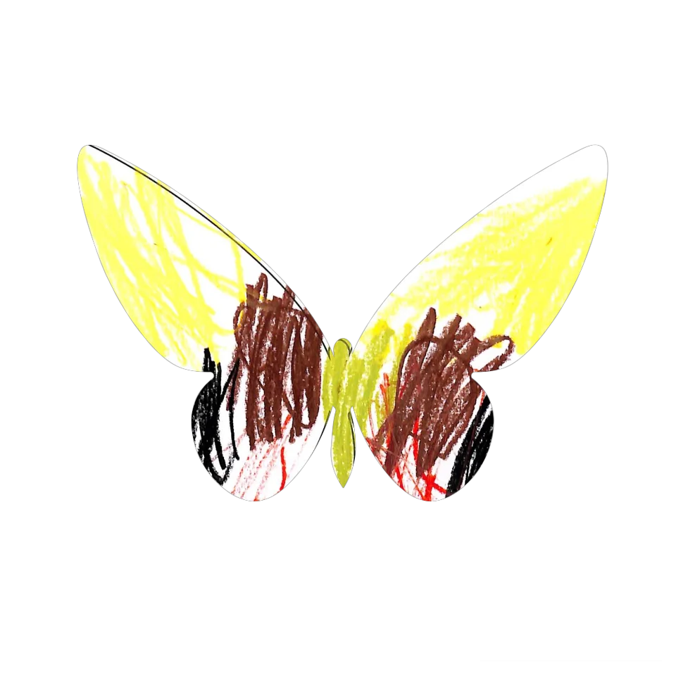 Original Butterfly Image