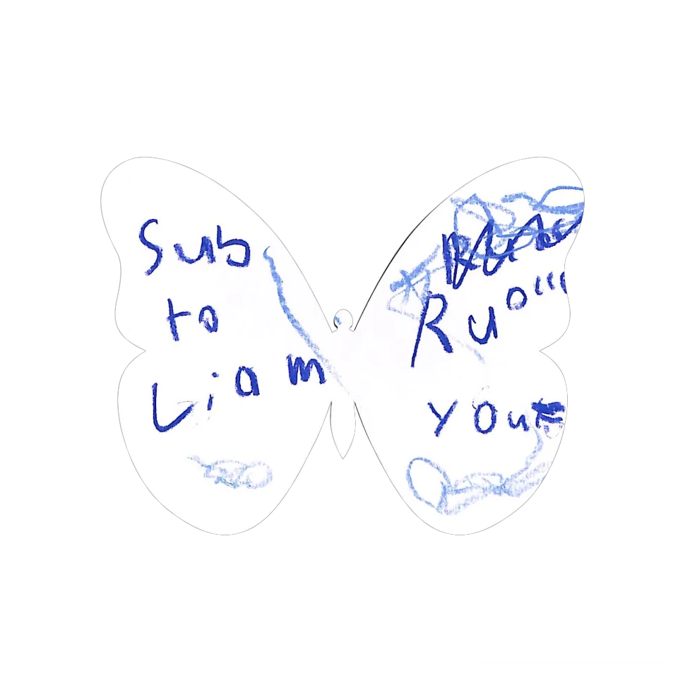 Original Butterfly Image
