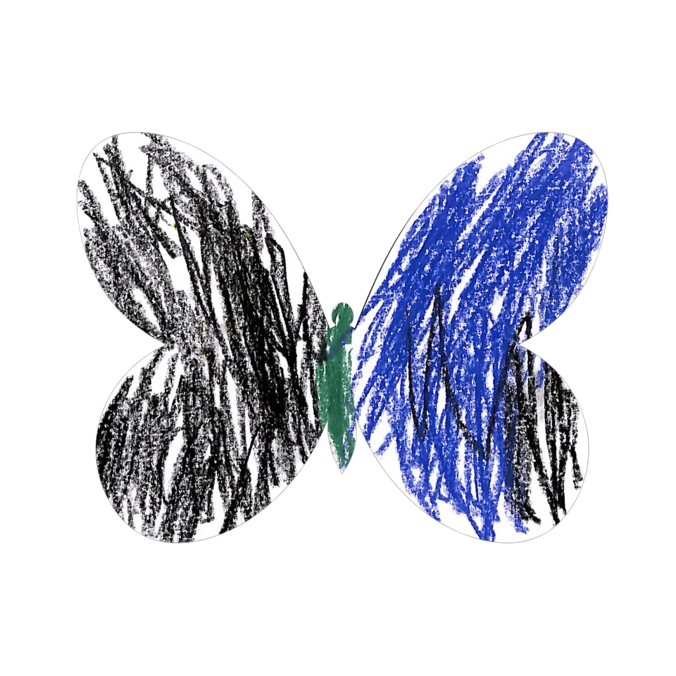 Original Butterfly Image
