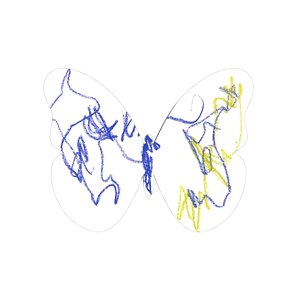 Original Butterfly Image
