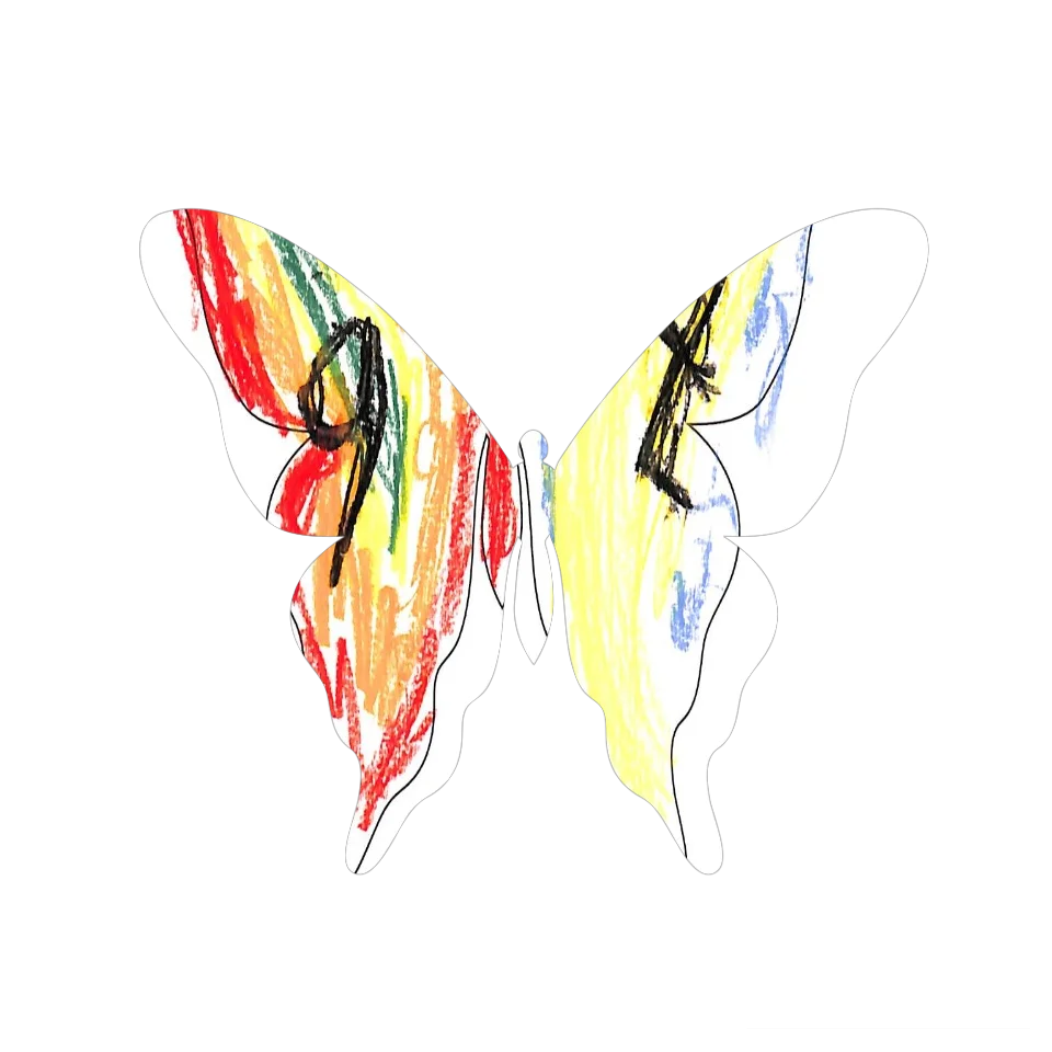 Original Butterfly Image