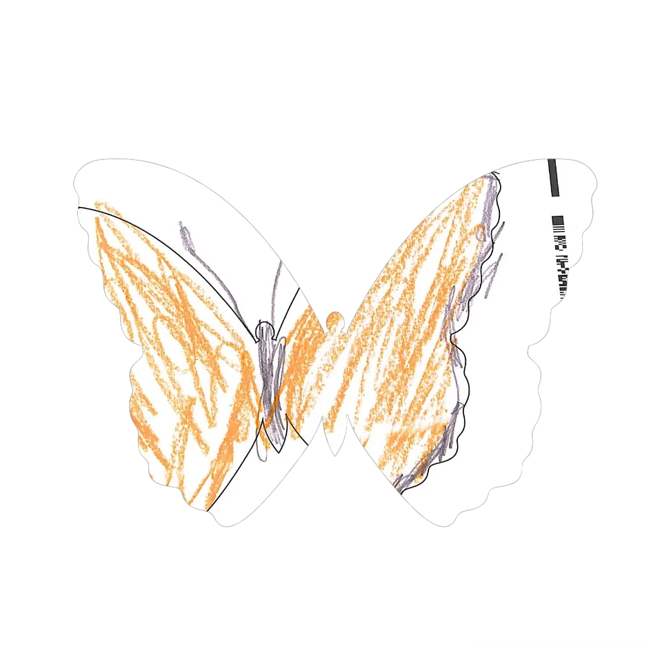 Original Butterfly Image