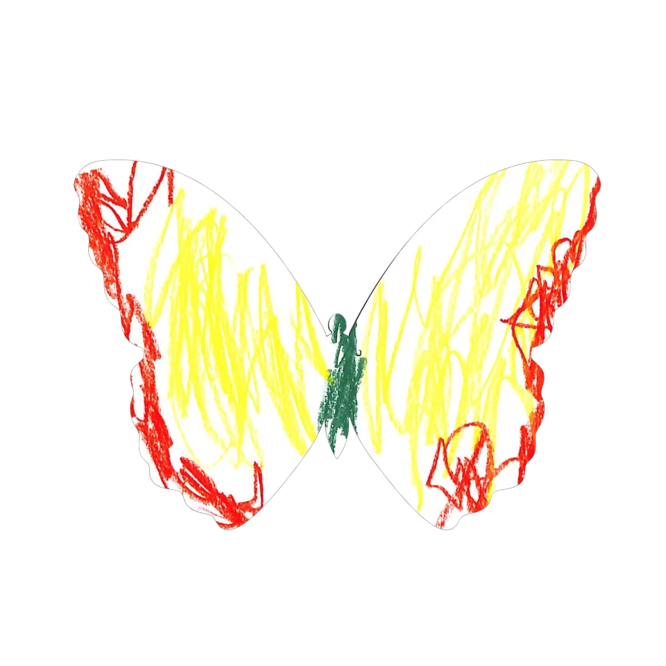 Original Butterfly Image