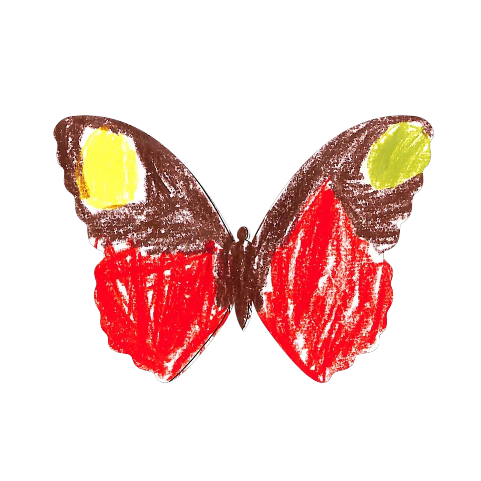 Original Butterfly Image