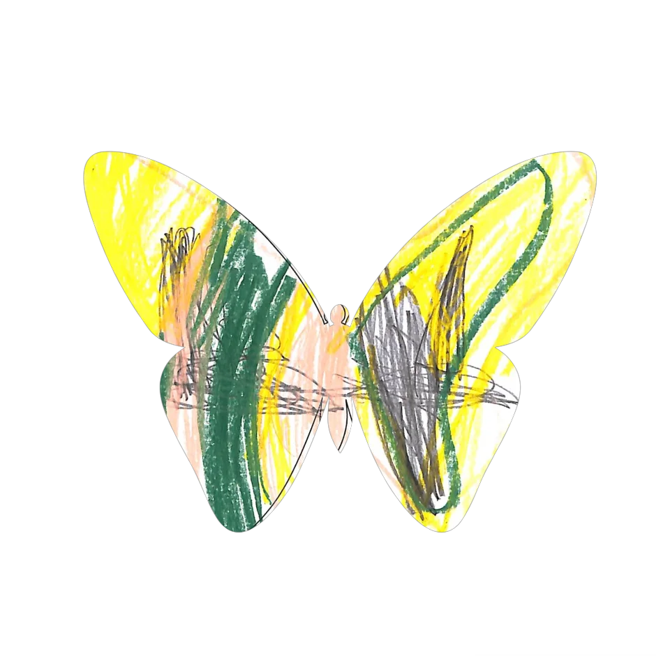 Original Butterfly Image