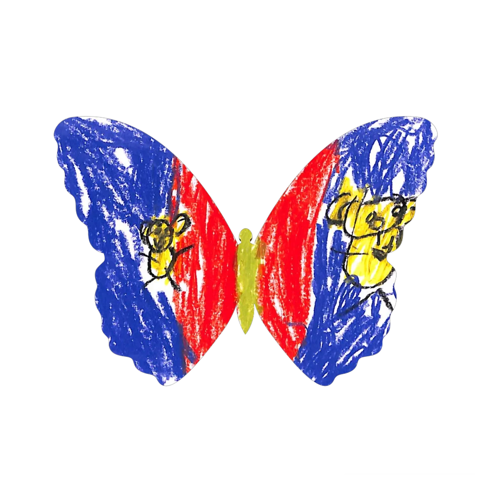 Original Butterfly Image