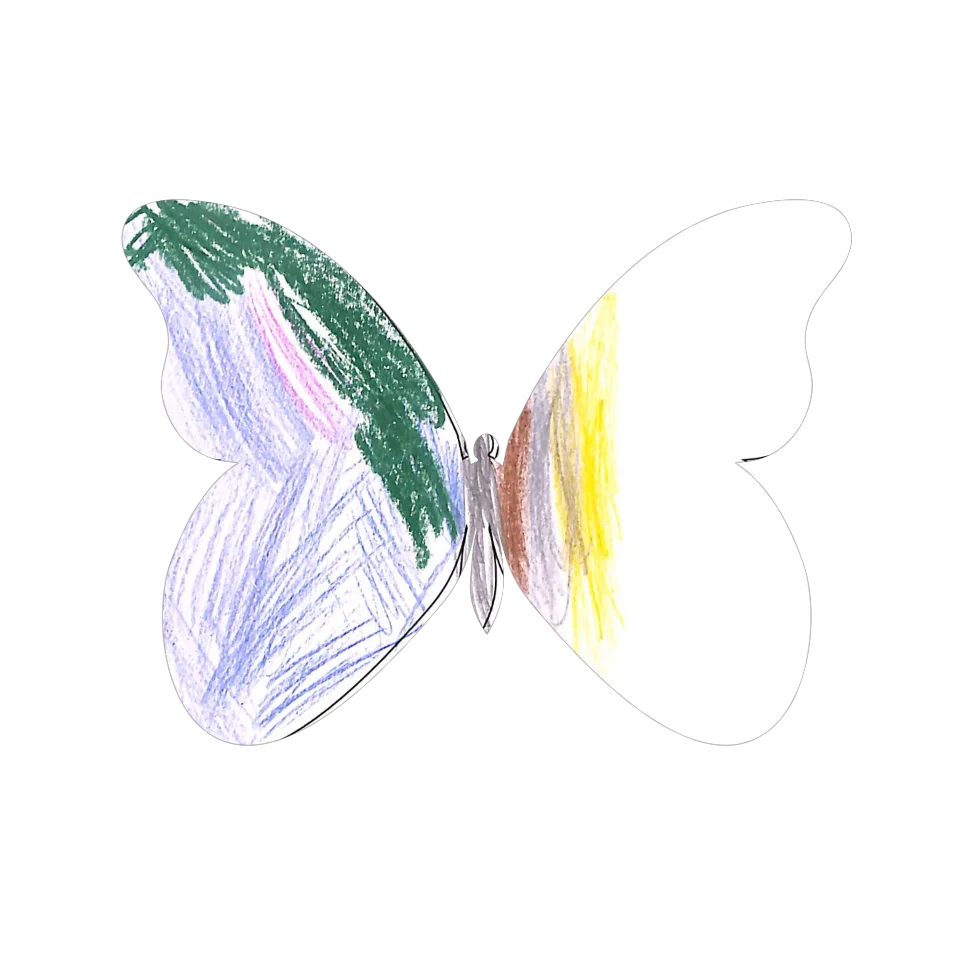 Original Butterfly Image