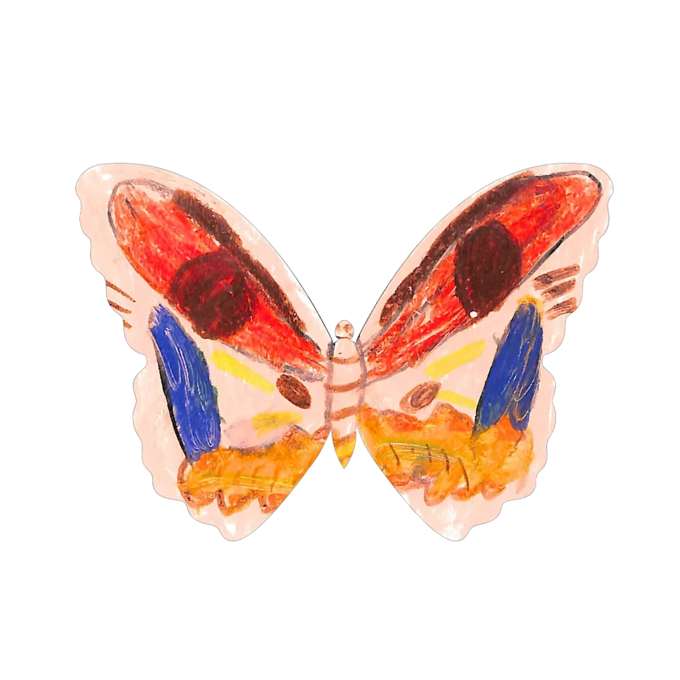 Original Butterfly Image