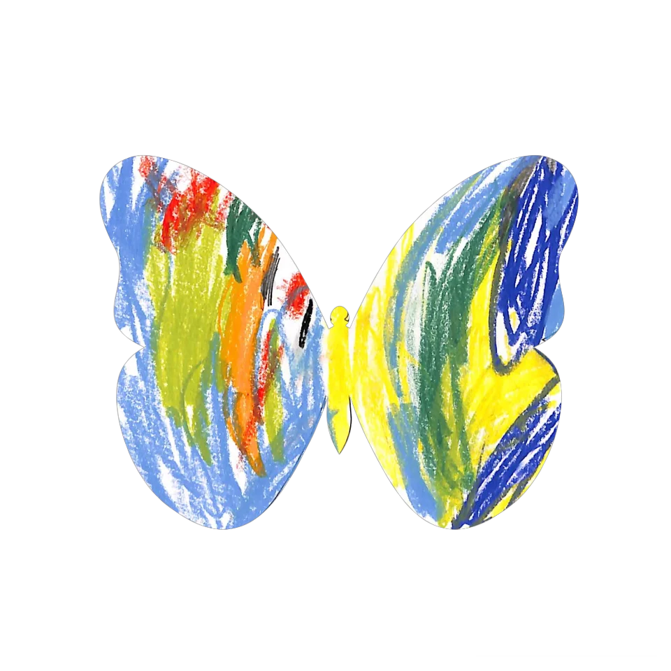 Original Butterfly Image
