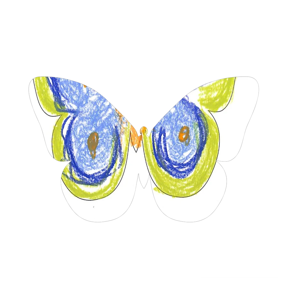 Original Butterfly Image