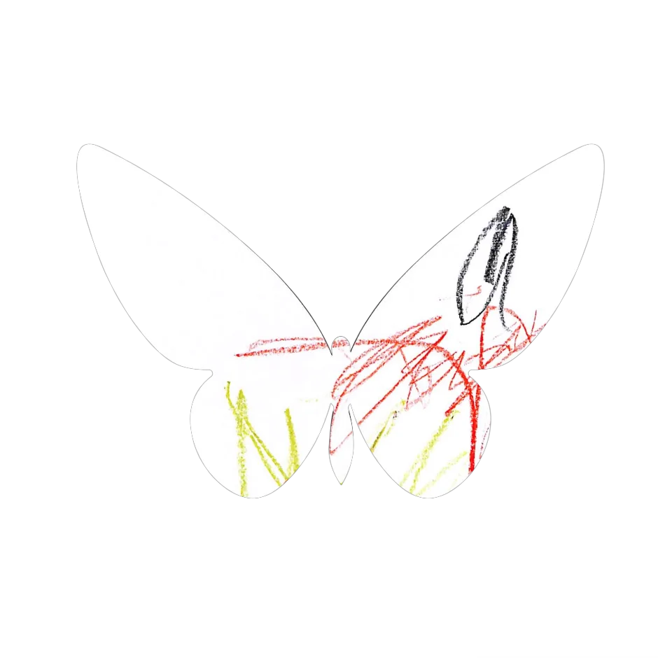 Original Butterfly Image