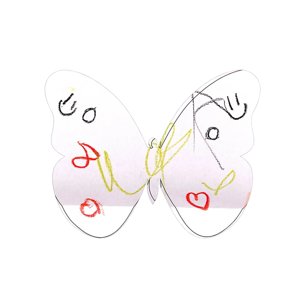 Original Butterfly Image