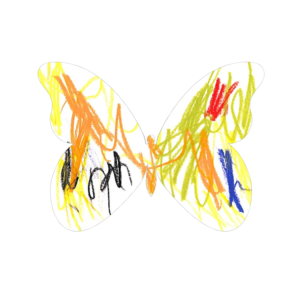 Original Butterfly Image