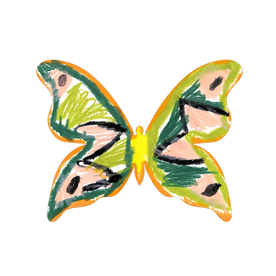 Original Butterfly Image