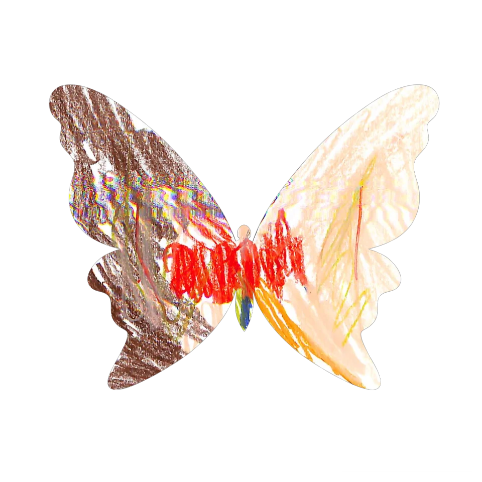 Original Butterfly Image