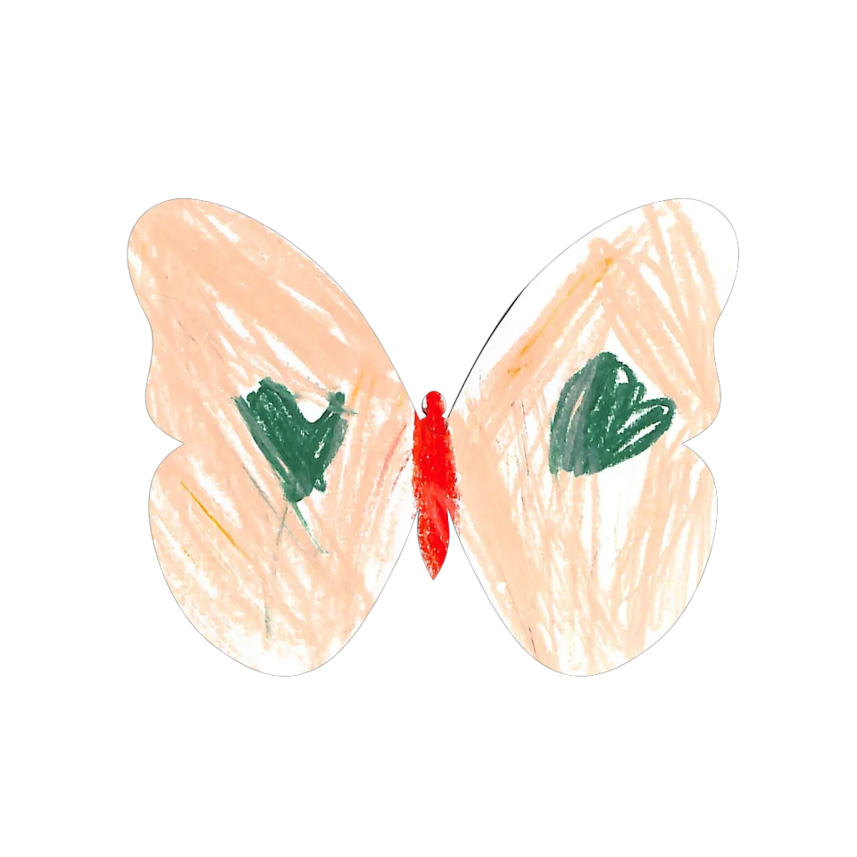 Original Butterfly Image