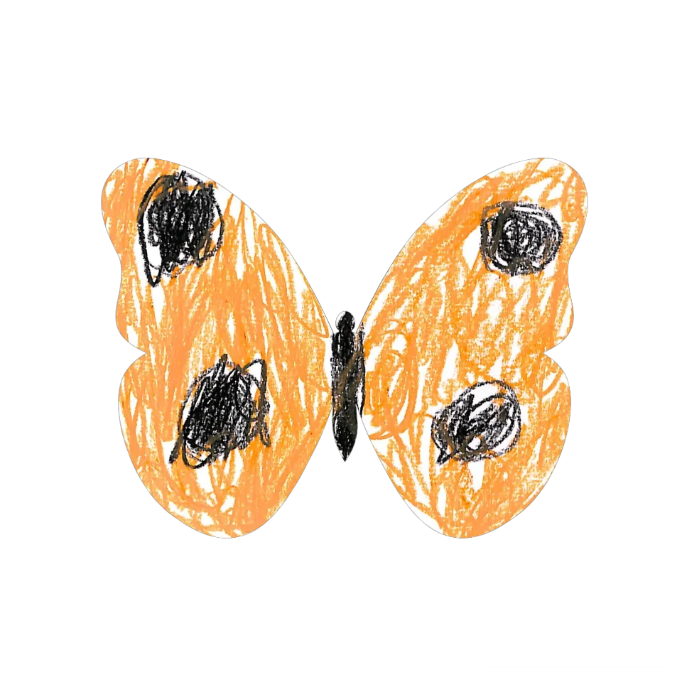 Original Butterfly Image